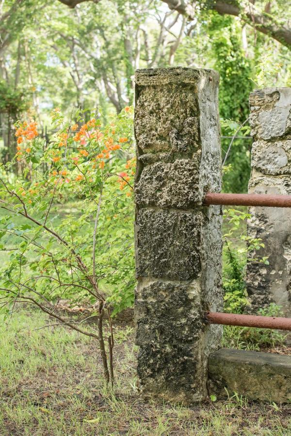 Colleton Great House Hotel Saint Peter Exterior foto